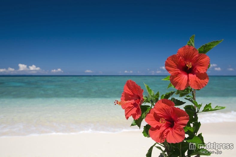 沖縄から30分で行ける、夏注目の絶景穴場リゾートとは?