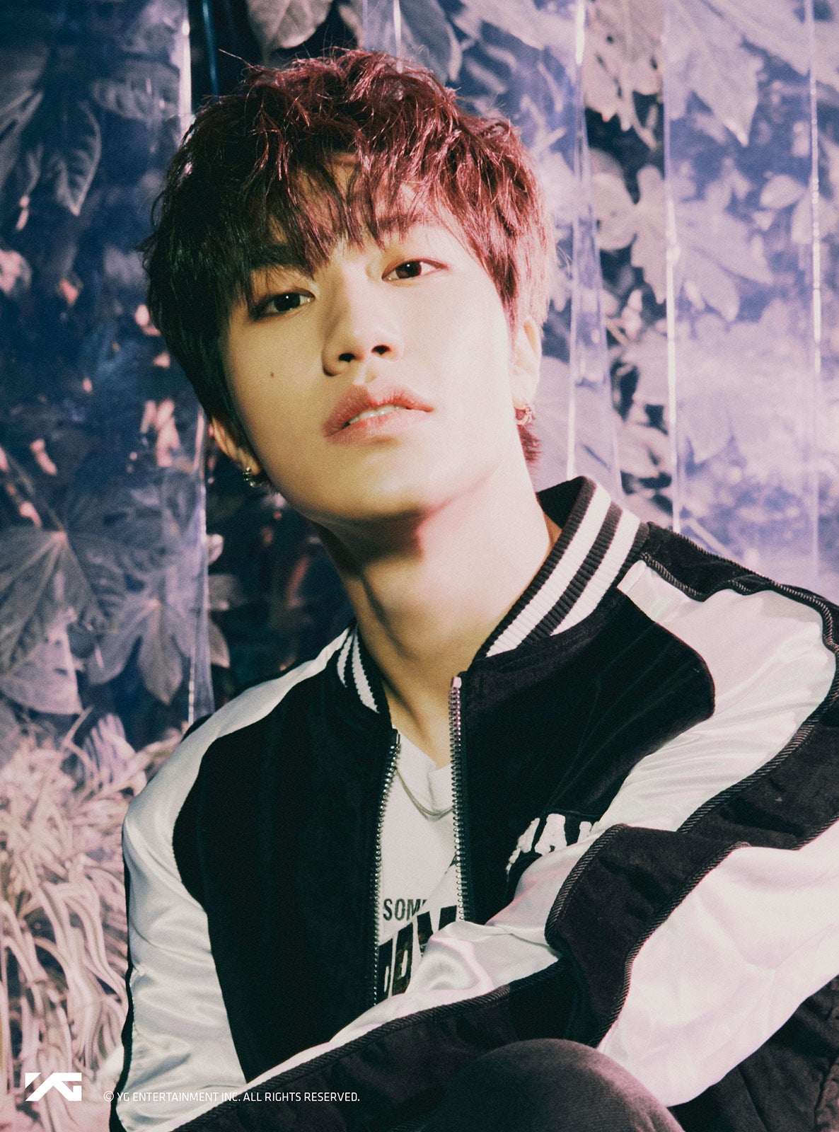 バン・イェダム （提供写真）