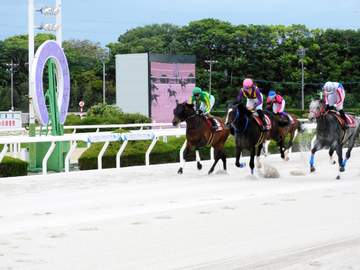 【地方競馬】フラフが兵庫大賞典を制し重賞初制覇