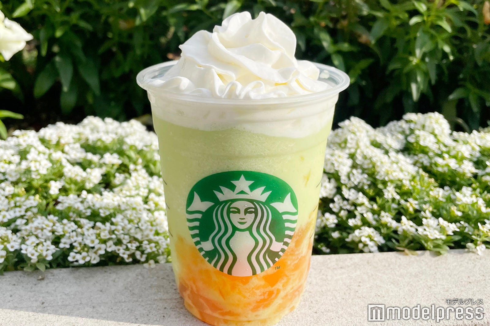 GOHOBI メロン フラペチーノ（C）モデルプレス