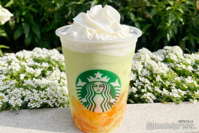 GOHOBI メロン フラペチーノ(C)モデルプレス