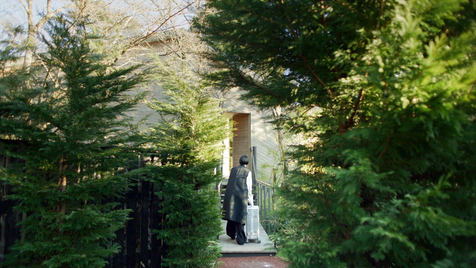 「PITERA TM&Me」より