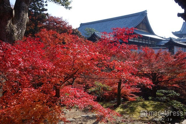 週末旅おすすめ京都紅葉スポット7選