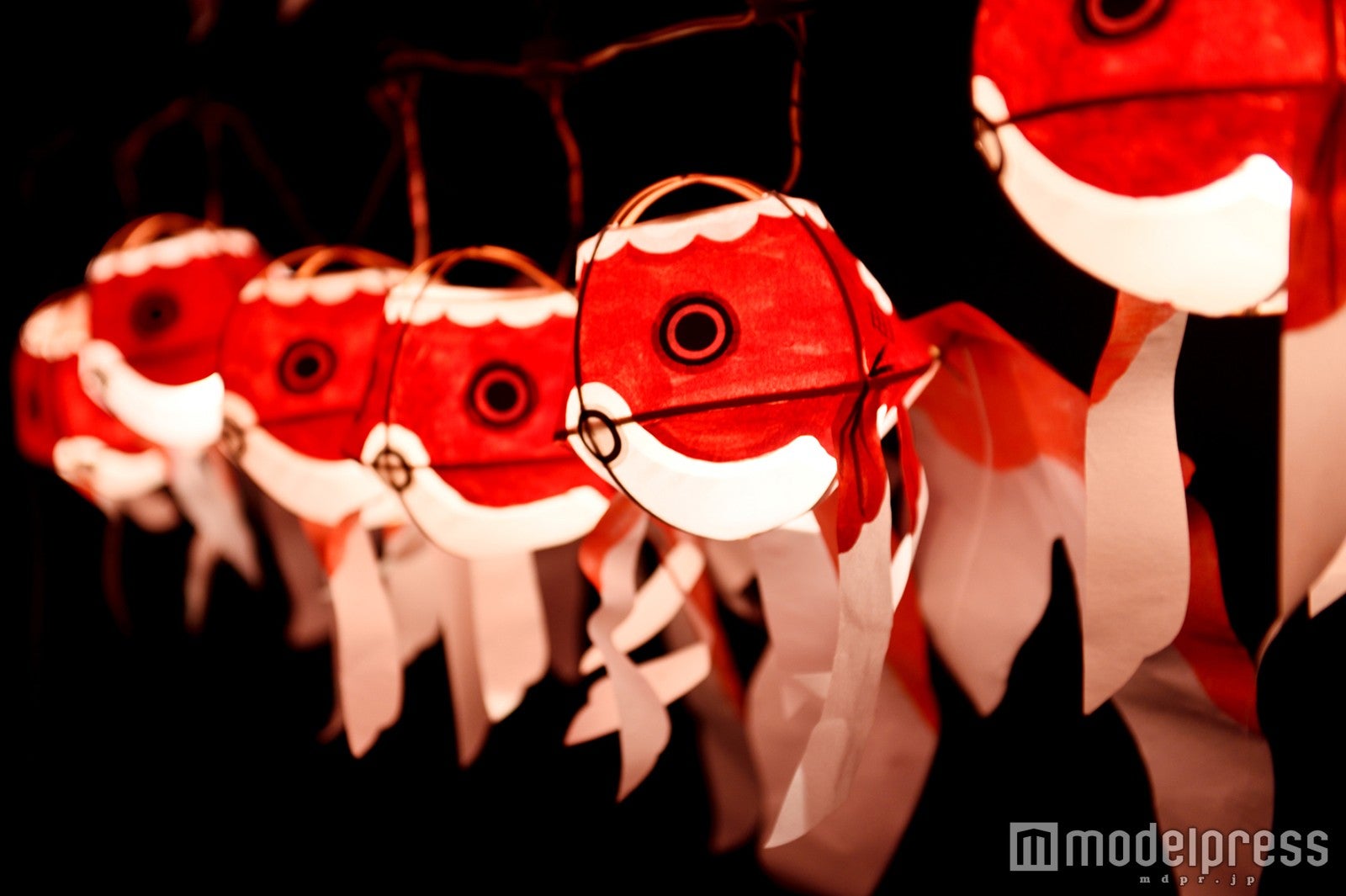 「風情ある明かりの金魚ちょうちん」／画像提供：すみだ水族館