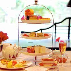 おれんじ食堂 アフタヌーンティー列車/画像提供:水俣市役所