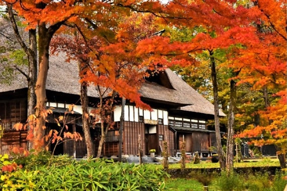 目黒邸／提供素材