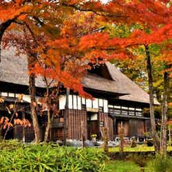 目黒邸/提供素材