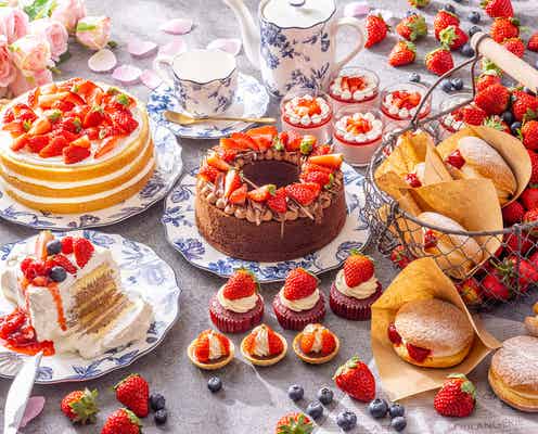 ヒルトン成田で新春ビュッフェ、3種のベリーで彩るケーキや焼き菓子ラインナップ