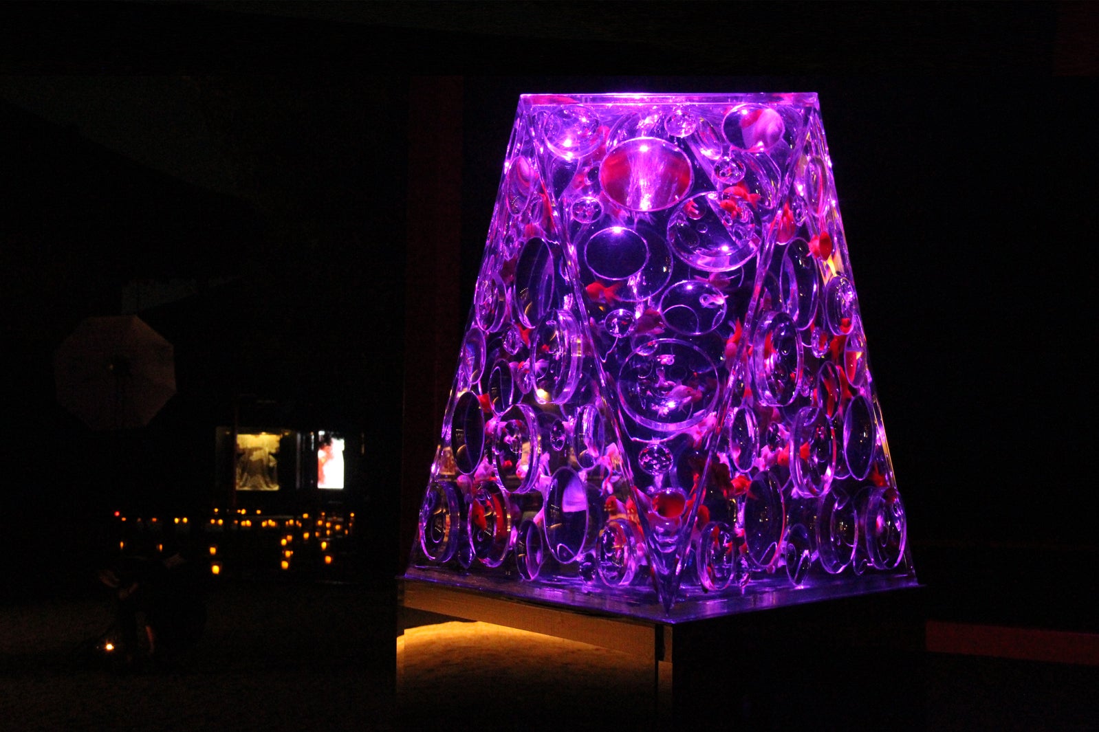 リフレクトリウム／画像提供：アートアクアリウム実行委員会