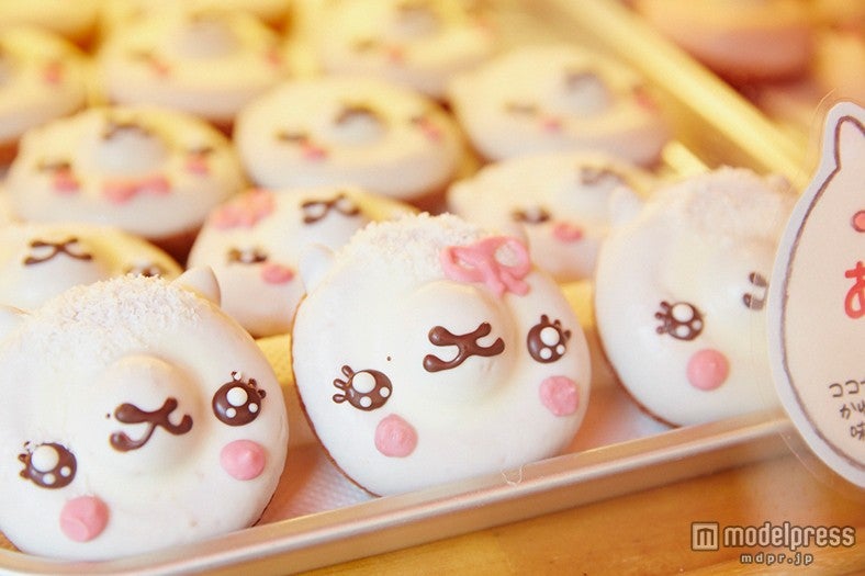 アルパカさん／画像提供：イクミママ