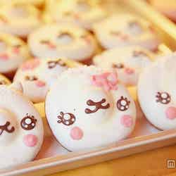 アルパカさん/画像提供:イクミママ