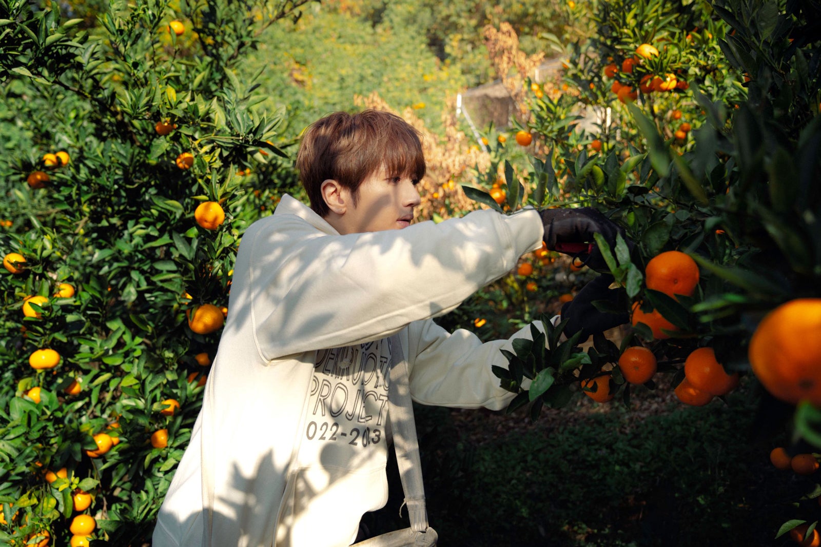 Nissy（提供写真）