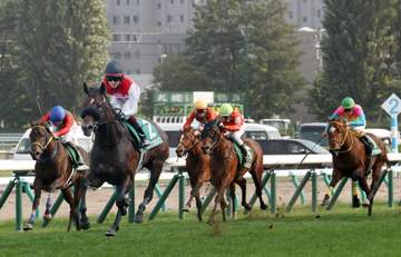 未勝利馬が半数…夏の2歳重賞に異変アリ G3を夏に並べ続けるのは本当に最善か 距離も時期も工夫の余地あるはず