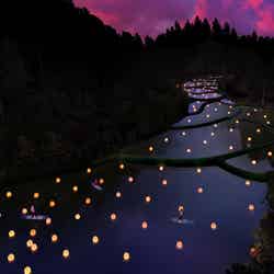 チームラボ 「チームラボ 幽谷隠田跡」茨城, 五浦 (C)チームラボ ※イメージ画像