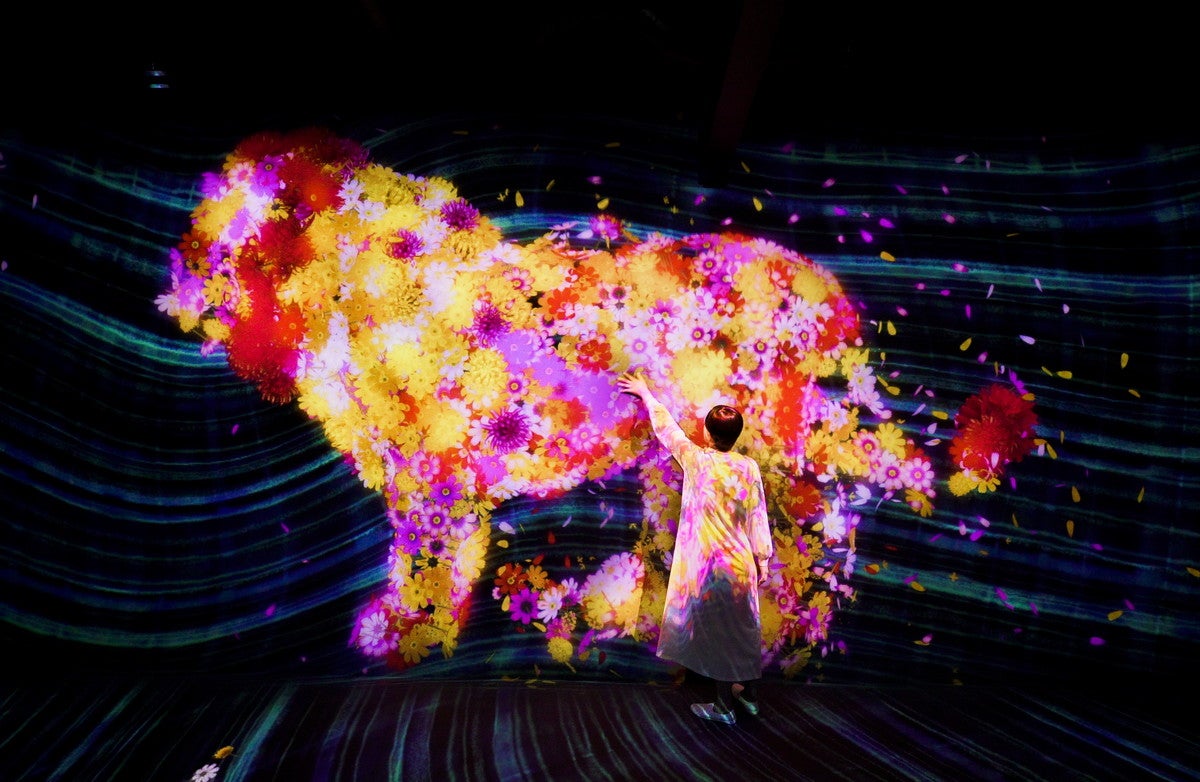 花と共に生きる動物たち II - A Whole Year per Year／画像提供：チームラボ