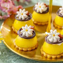 Strawberry Fairy Garden/提供画像