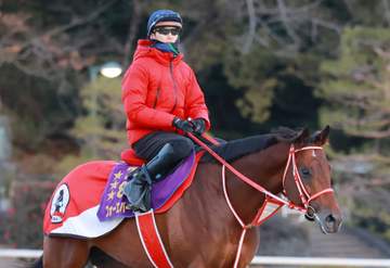 フォーエバーヤング秋は連覇が懸かるBCクラシックか凱旋門賞へ 矢作厩舎公式X発表