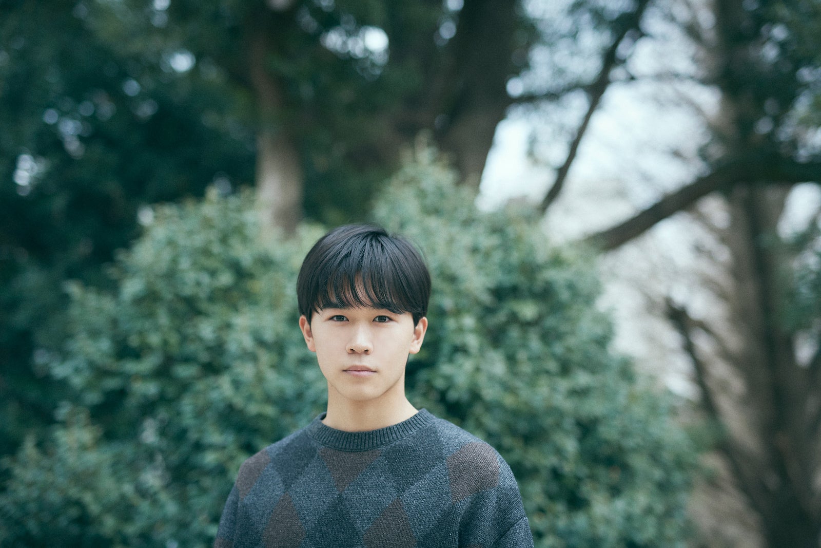 鈴木福（提供写真）