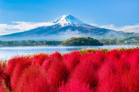 「山梨県」