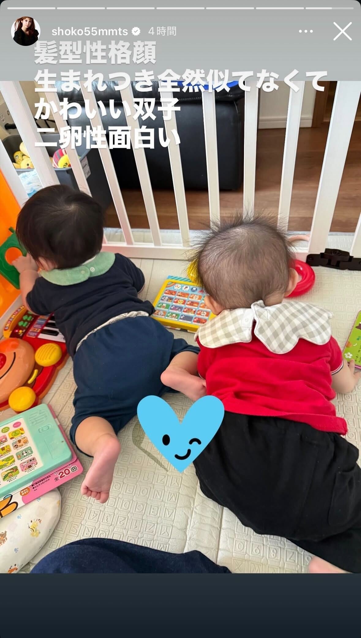 中川翔子Instagramストーリーズより