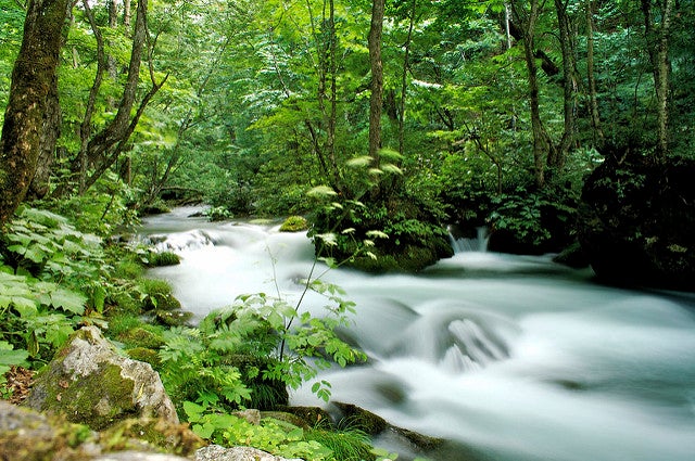 奥入瀬渓流／Oirase keiryu by Kossy@FINEDAYS