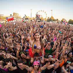 全世界100万人を動員/Photo Credit by INSOMNIAC HOLDINGS,LLC