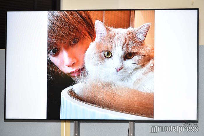 藤原樹と愛猫・マース (C)モデルプレス