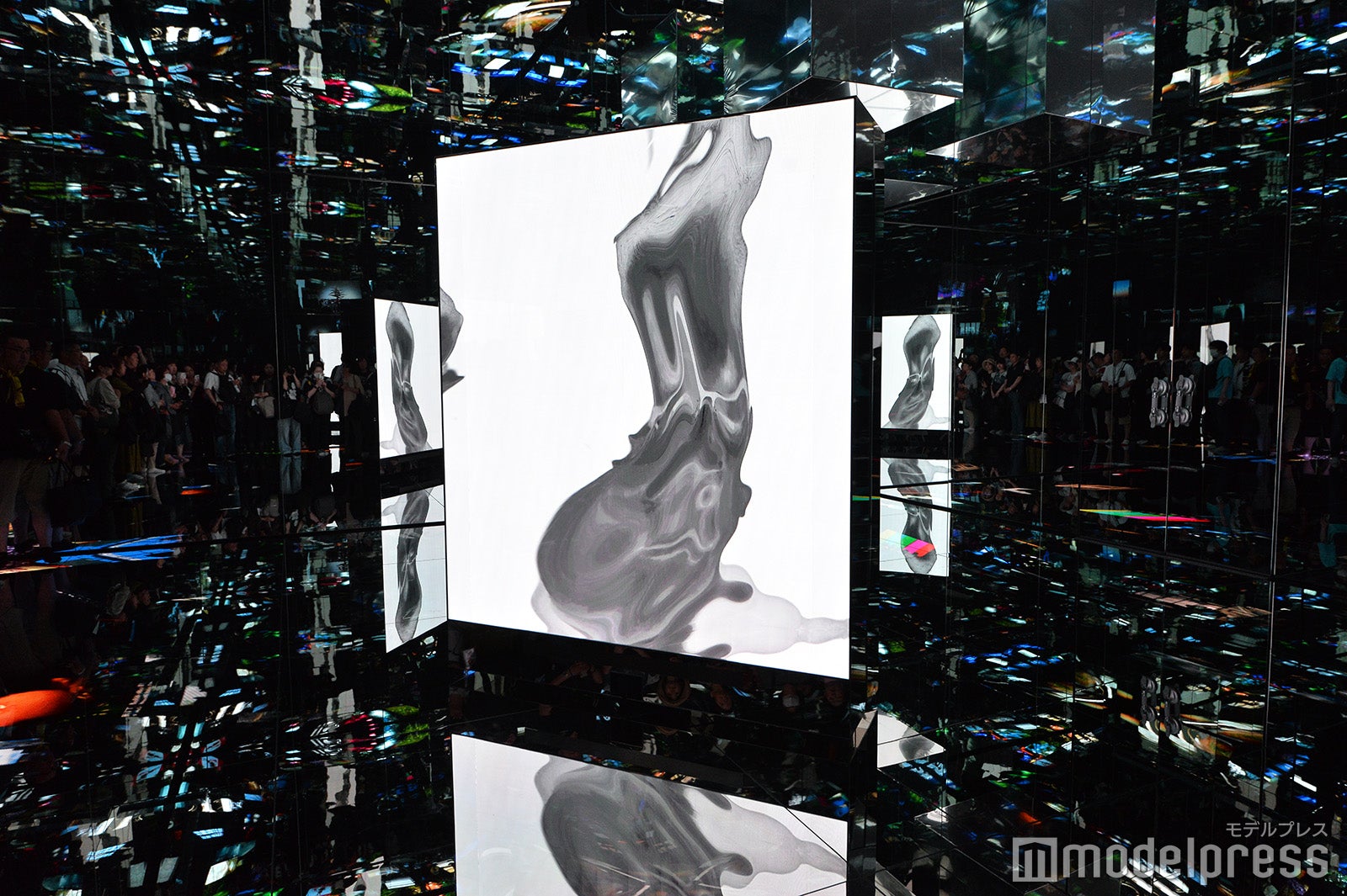 null2（C）モデルプレス