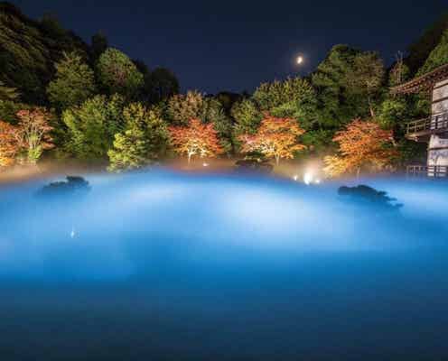 「鎌倉」に詳しい旅のプロが感動した! 秋の行楽に本気で推したい名所3選【2025年最新】