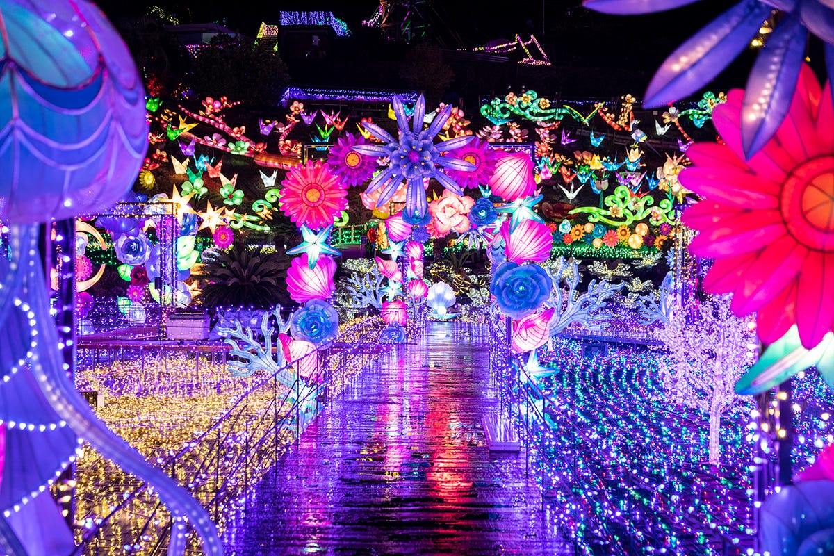 静岡「伊豆高原グランイルミ」まばゆい光の上を歩く新エリア、幻想的なイルミネーション空間が進化