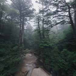 屋久島/画像提供:富士開発