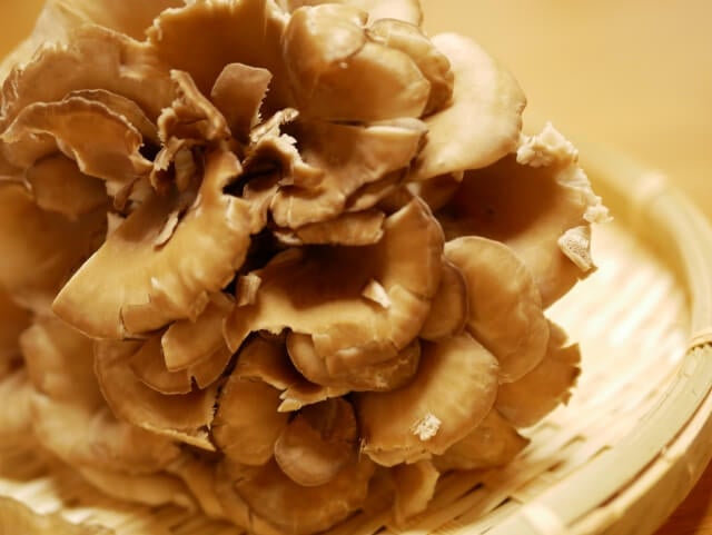 風邪を予防する！？　秋が旬の【まいたけ】を食べよう♪