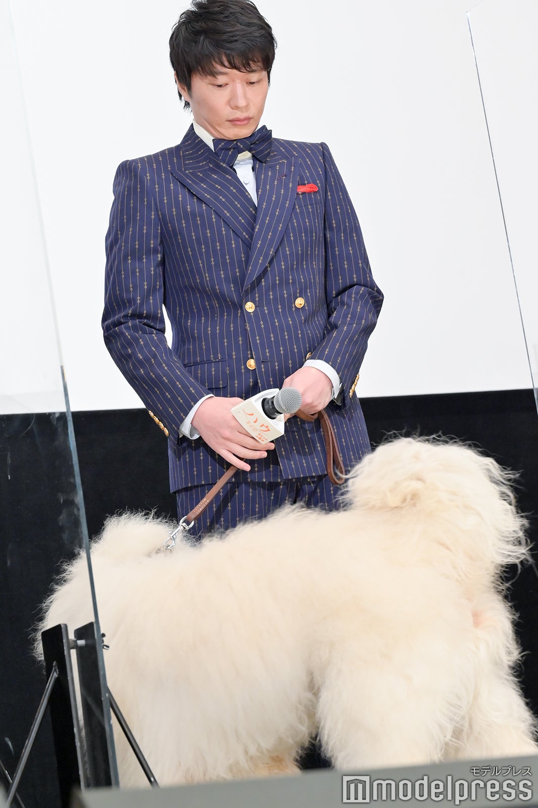 田中圭（C）モデルプレス