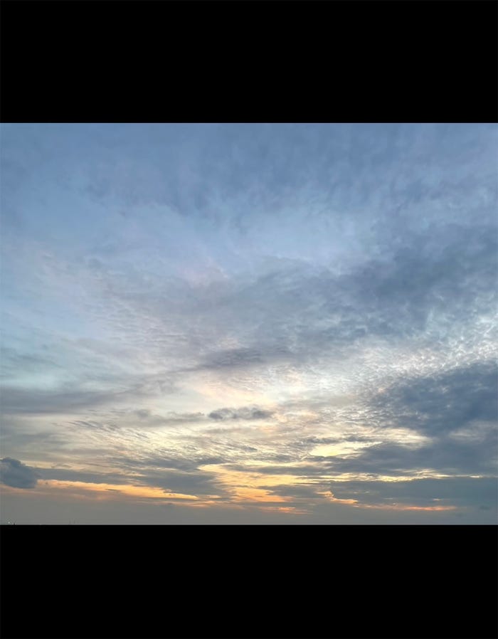 鶴房汐恩(提供写真)