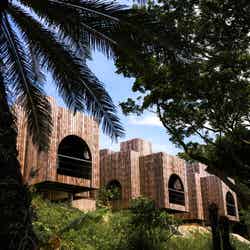 MIRU AMAMI/提供画像