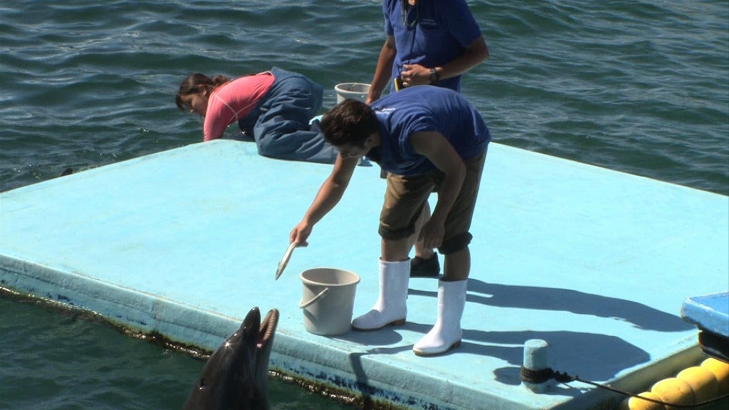 健一「恋んトス」シーズン6（C）TBS