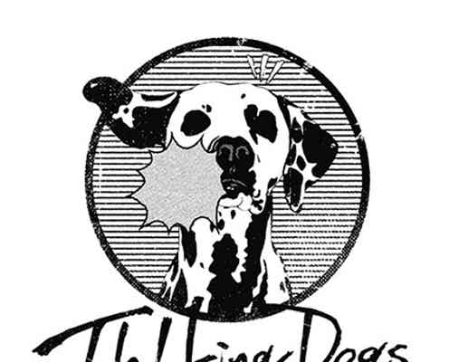 大島優子主演「ヤメゴク」主題歌を歌う「Thinking Dogs」が話題 “新展開”が決定
