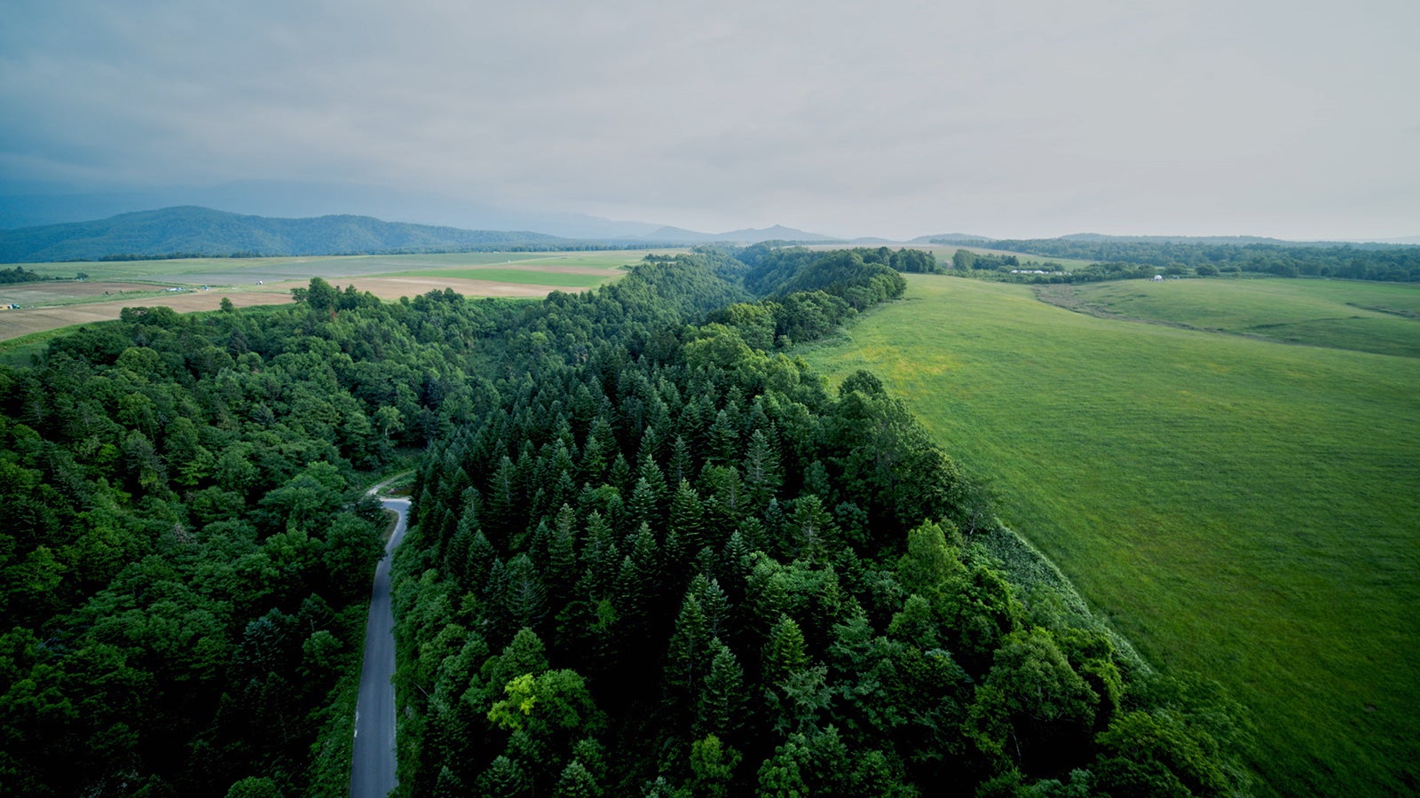 AKB48「サステナブル」MV（C）AKS／キングレコード