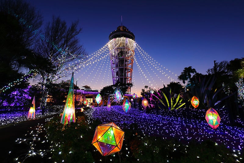 湘南の宝石～江の島を彩る光と色の祭典と色の祭典（提供画像）