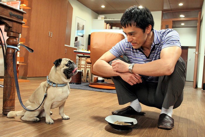 阿部寛(C)カンテレ