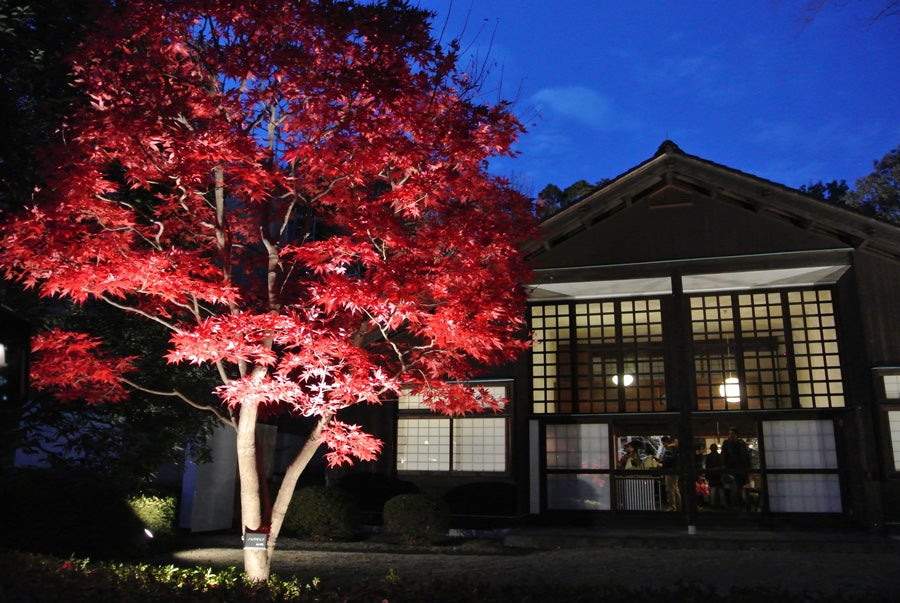 江戸東京たてもの園