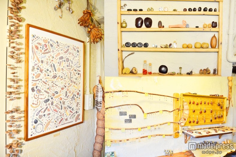 インテリアも自然素材から生まれたナチュラルなものでいっぱい