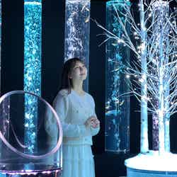 金魚と幻想の銀世界/提供画像