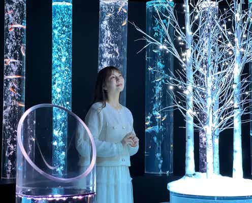 アートアクアリウム美術館で冬の企画展「金魚と幻想の銀世界」室内空間で冬景色を表現