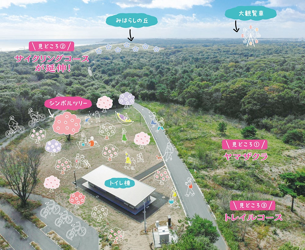 国営ひたち海浜公園／提供画像