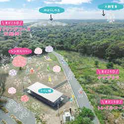 国営ひたち海浜公園/提供画像