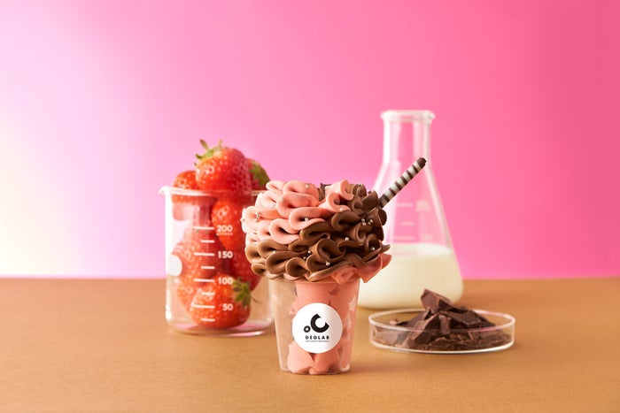 リッチチョコレートフレッシュストロベリーMIX／画像提供：株式会社 ドロキア・オラシイタ