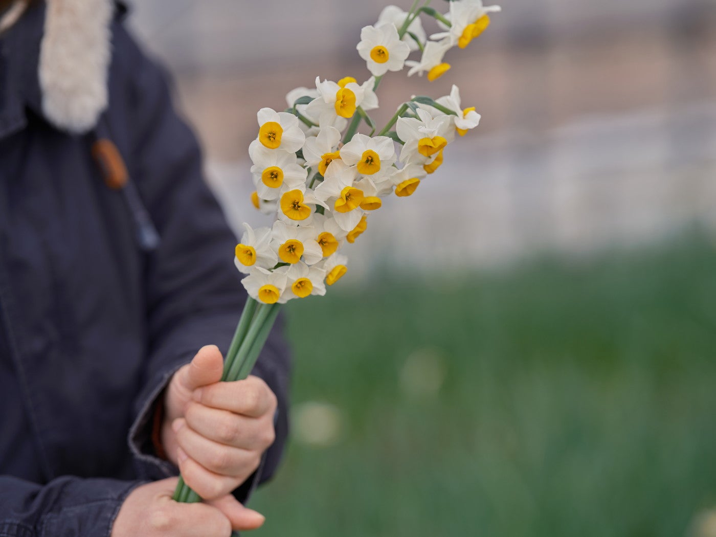 冬の寒さの中咲く花は、凛としていて可憐／提供画像