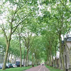 何気ない通りだってなんだかお洒落/画像提供:所属事務所