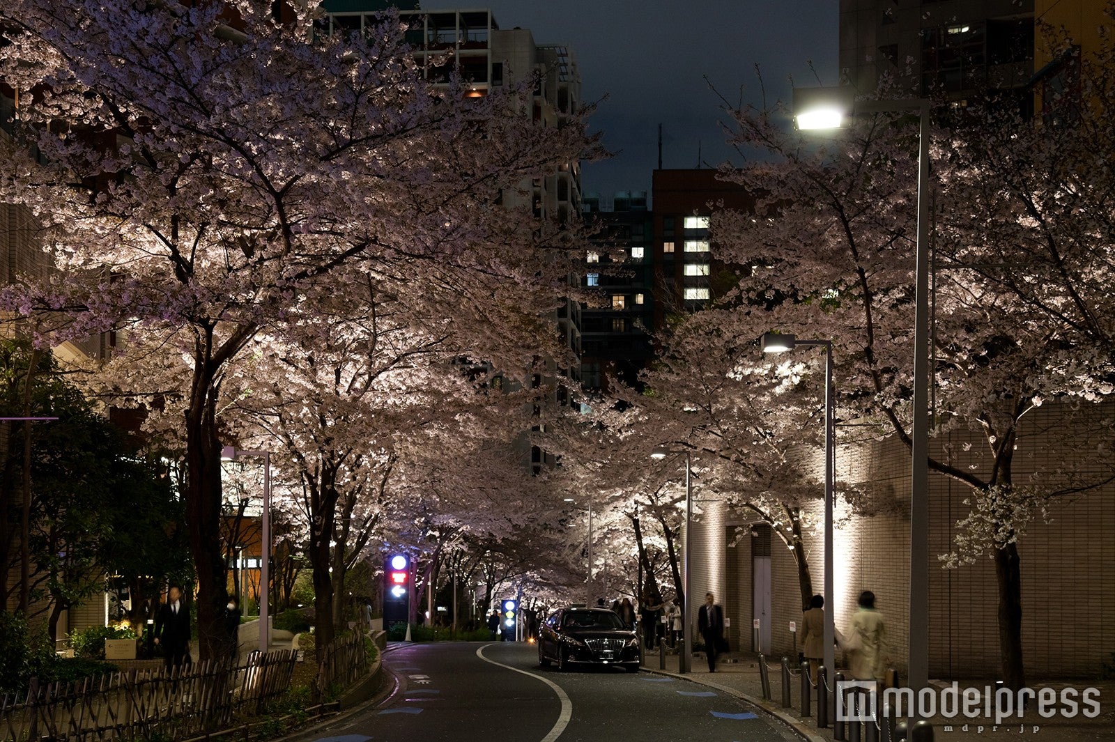 六本木さくら坂／画像提供：六本木ヒルズ